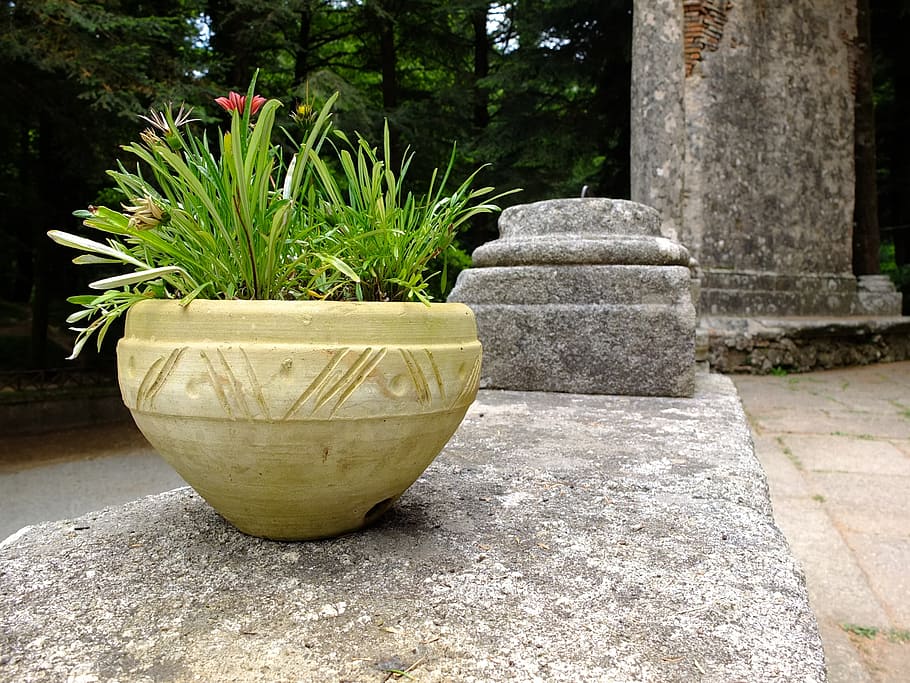 italy, calabria, serra san bruno, silent, stone, retreat, planter, HD wallpaper