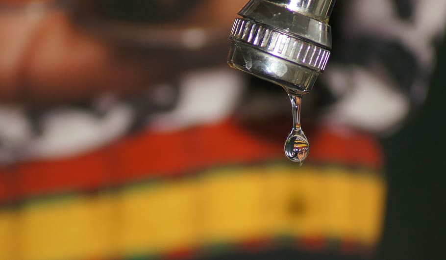the, drop, fall, armenia, quindio, close-up, selective focus HD wallpaper