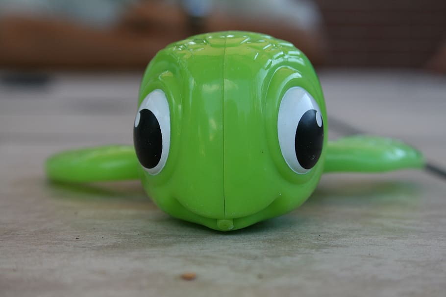 toy turtle, close-up, small, tortoise, green color, no people HD wallpaper