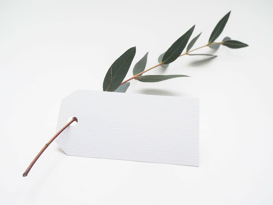green herb, white, tag, leaf, nature, paper, blank, wood - Material HD wallpaper
