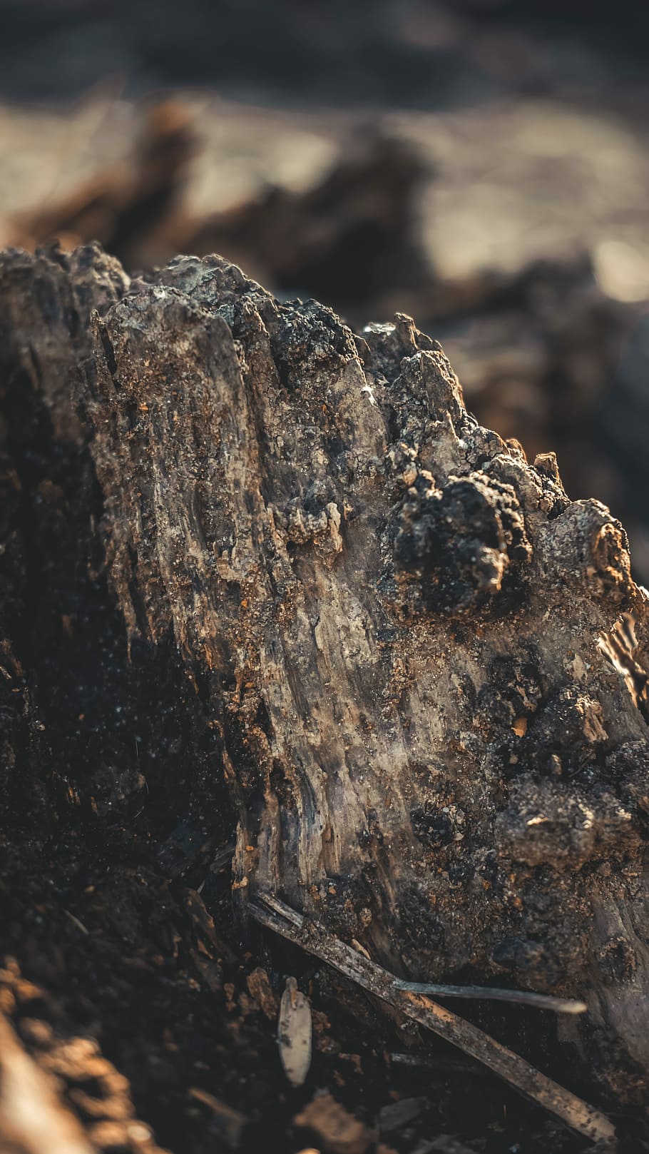 gray mineral rock close up photography, brown stone, bark, nature HD wallpaper