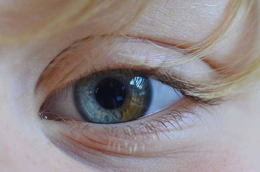 Eye, Color, Color, Yellow, View, Blue, Iris, close, human eye HD wallpaper