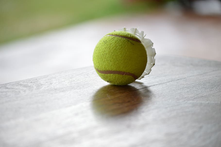 HD wallpaper: tennis ball, table, wood, sport, green color, no people