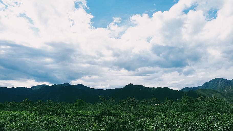 green, grass, plants, fields, mountains, landscape, nature HD wallpaper