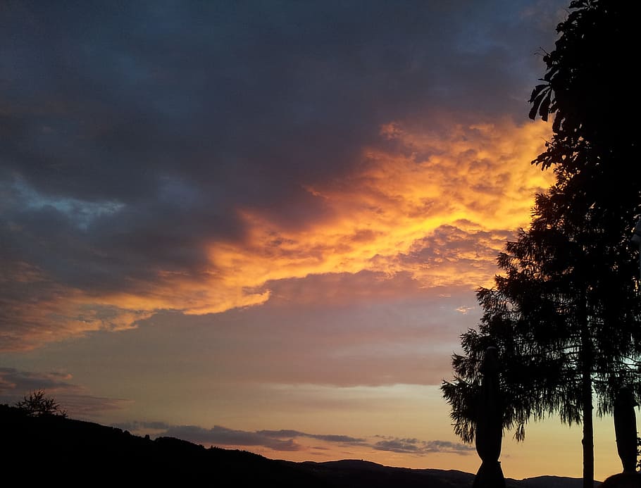 Sky, Sunset, Clouds, nature, tree, silhouette, landscape, scenics HD wallpaper