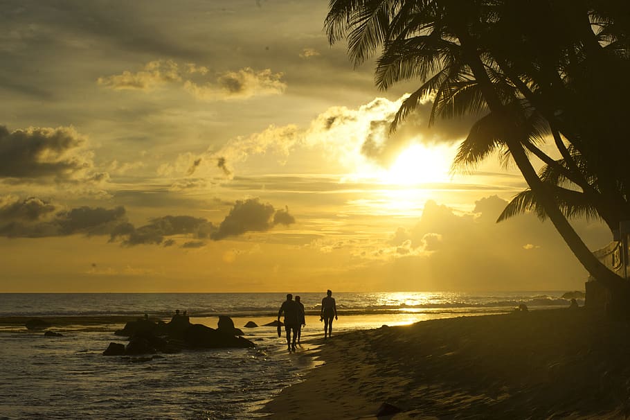 sea, dawn, nature, sunset, backlit, beach, caribbean, clouds HD wallpaper