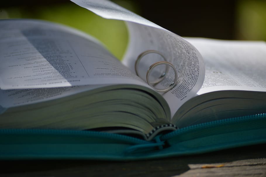 two rings inserted on book page, wedding, wedding ring, plant HD wallpaper