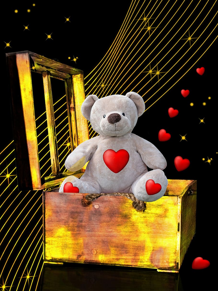 gray and red bear plush toy, teddy bear, box, romantic, tenderness HD wallpaper