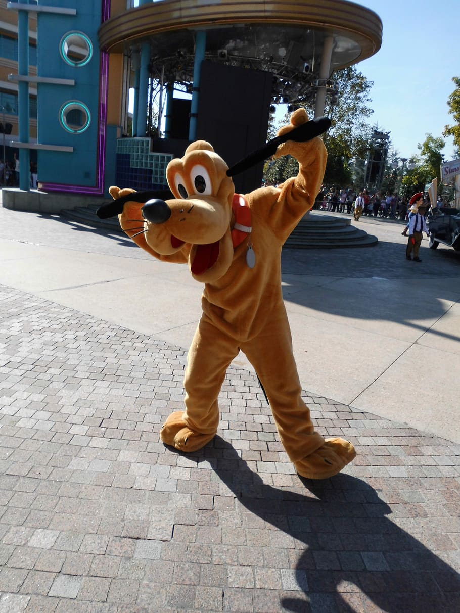Disney Pluto mascot standing, Disneyland, Theme Park, entertainment, HD wallpaper