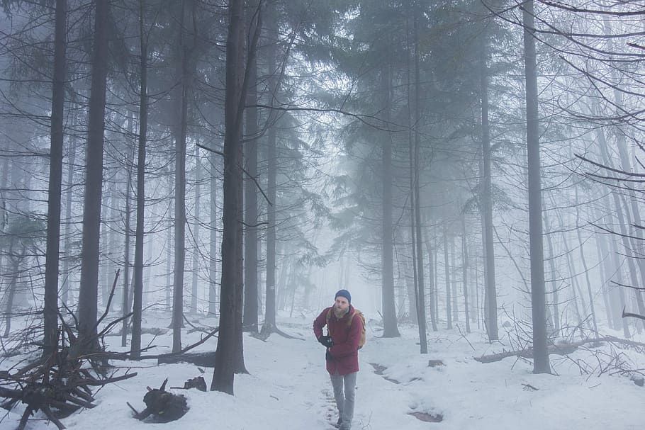 person standing in the middle of snow field forest, mist, winter HD wallpaper