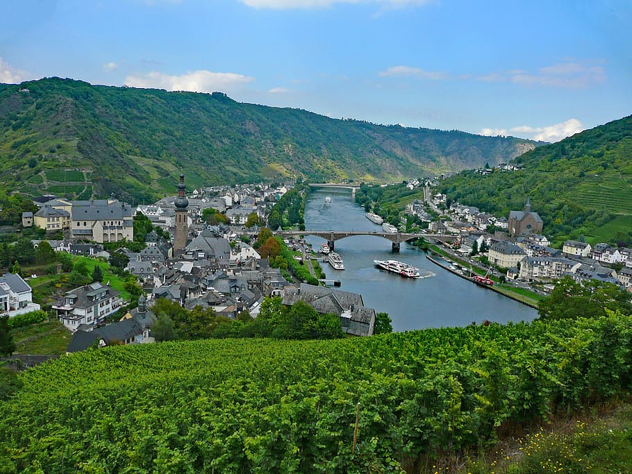 Cochem, Mosel, Sachsen, Germany, Wine, vineyards, landscape