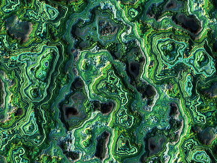 green moss, pattern, background, abstract, structure, backgrounds HD wallpaper