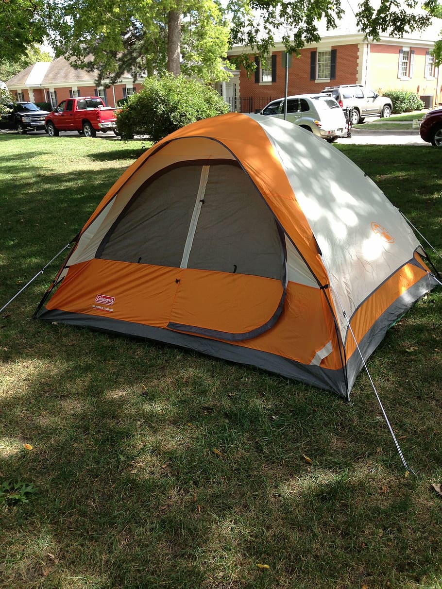 tent, camp, park, camping, outdoor, outdoors, nature, forest HD wallpaper