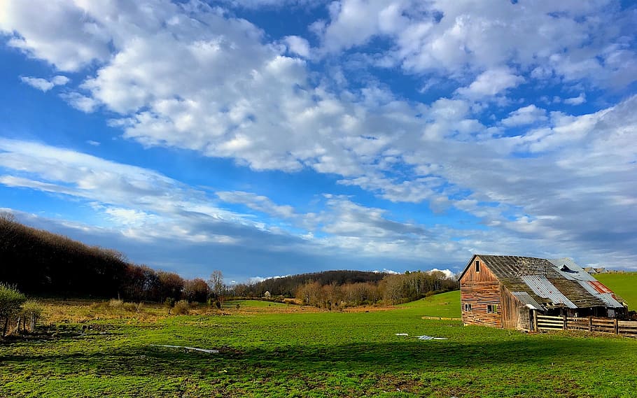 farm, sky, building, structure, wooden, rural, field, landscape HD wallpaper