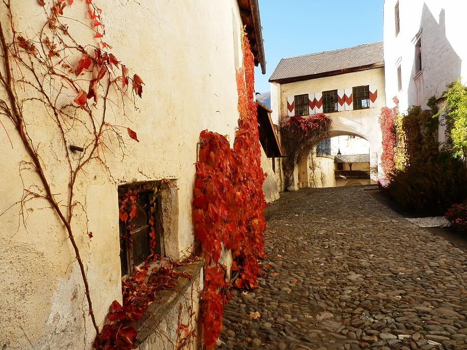 bush, castle, wall, tyrol, architecture, built structure, building exterior HD wallpaper