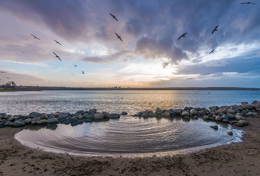 sea, dawn, landscape, nature, beach, birds, clouds, ocean, outdoors HD wallpaper