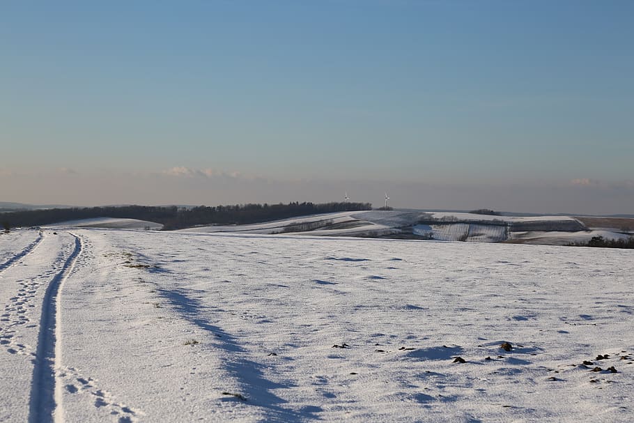 winter, snow, wintry, white, nature, landscape, field, blue sky HD wallpaper