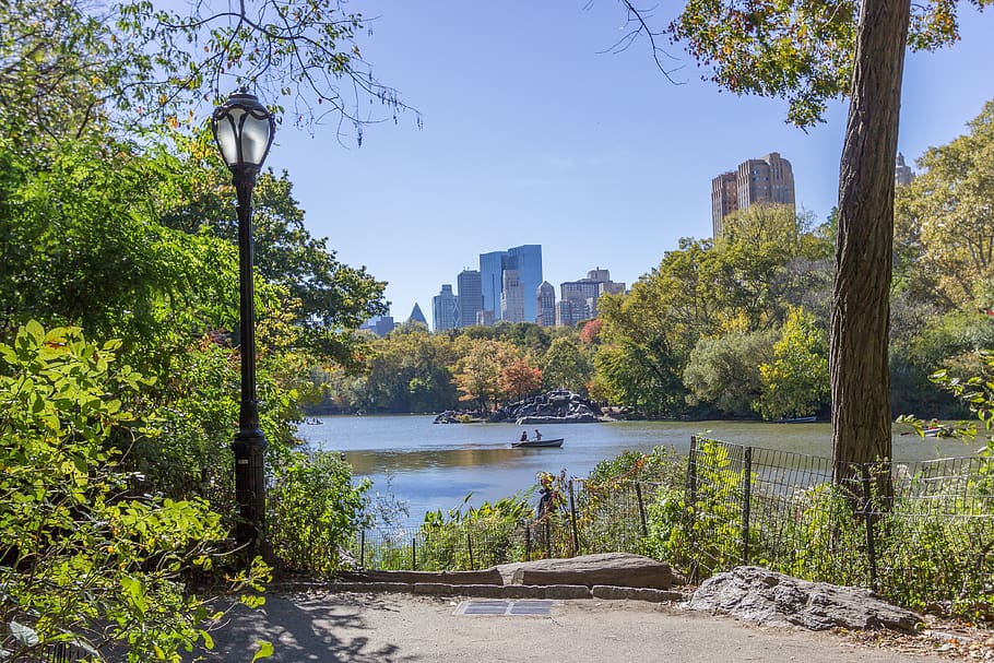 HD wallpaper: central park, new york, skyscrapers, buildings, america ...