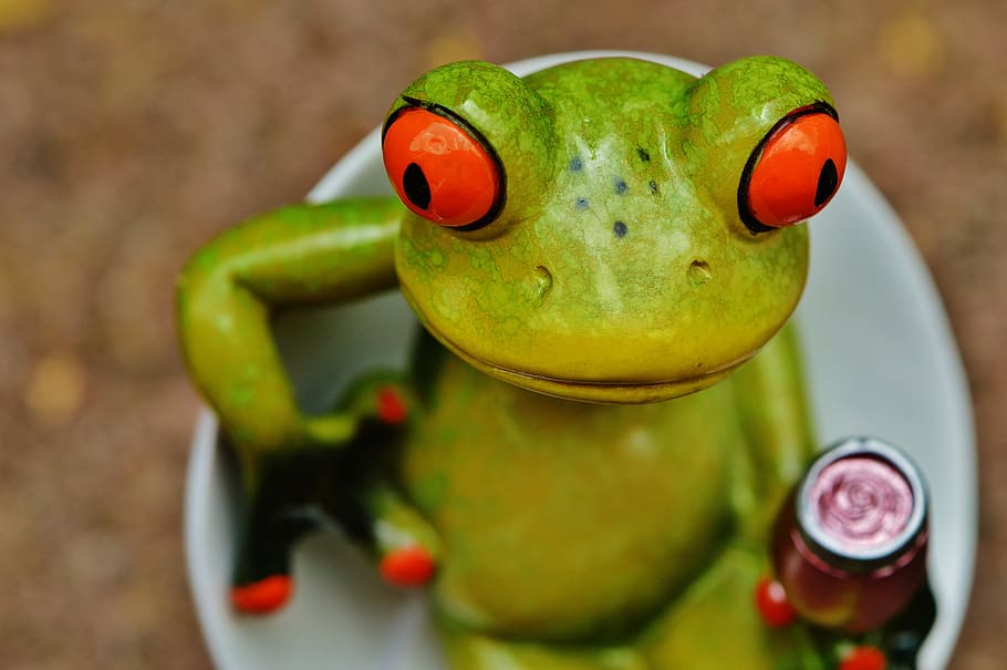 frog, chick, funny, cocktail, drink, cute, chair, sit, sweet HD wallpaper