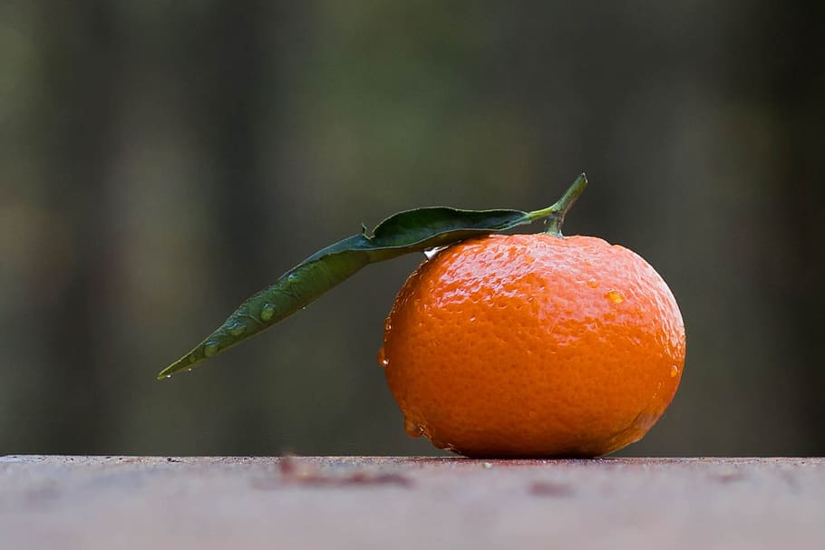 mandarin, fruit, clementines, power, food, food product, food and drink HD wallpaper