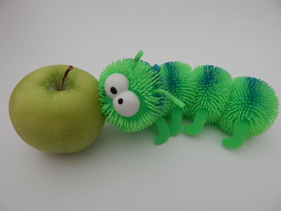 centipede, apple, worm, green, caterpillar, insect, bug, eating