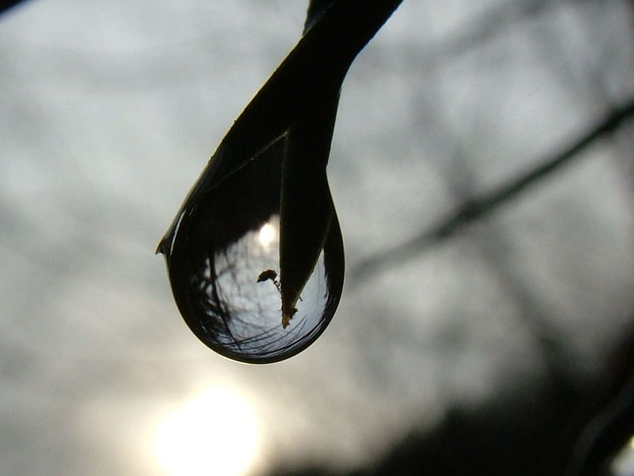 macro photography of water droplet, raindrop, mirroring, drip HD wallpaper