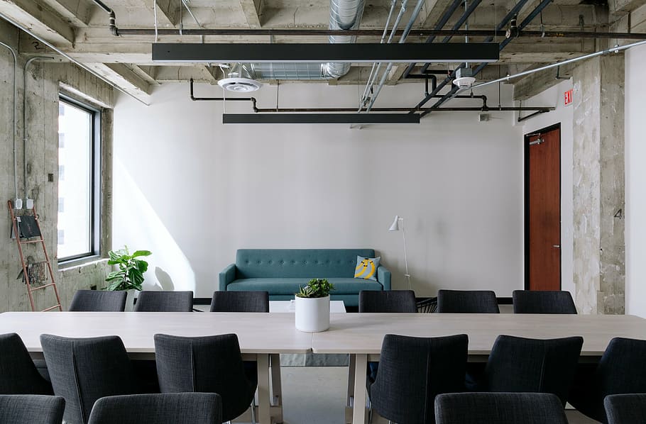 green plant near blue couch, white, room, office, table, chairs HD wallpaper