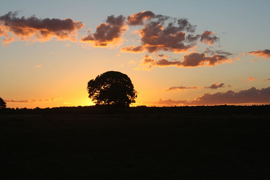 sol, landscape, farm, sunset, eventide, sky, silhouette, orange color HD wallpaper