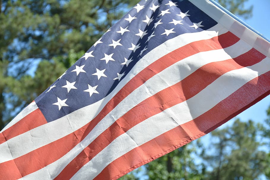 flag, american flag, tree, striped, patriotism, shape, star shape HD wallpaper