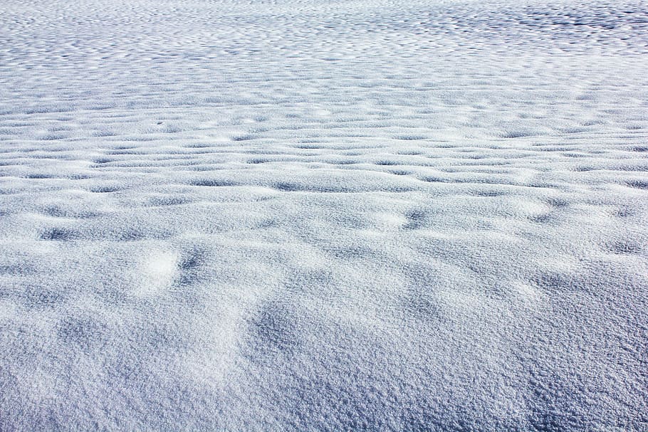 winter, snow, white, wintry, cold, nature, snowy, powder snow HD wallpaper