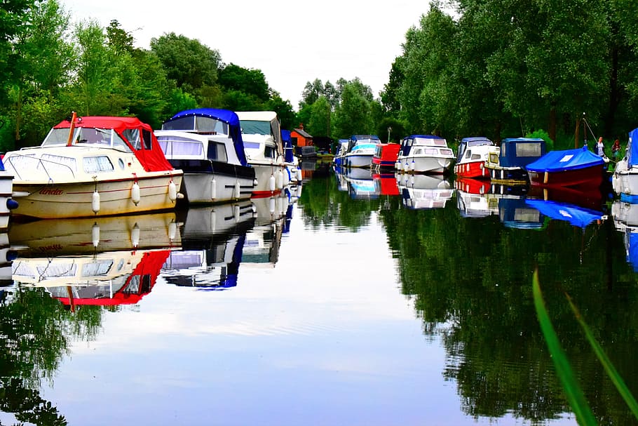 Carnal, Boat, Water, Tree, Reflection, carnal boat, nautical vessel HD wallpaper
