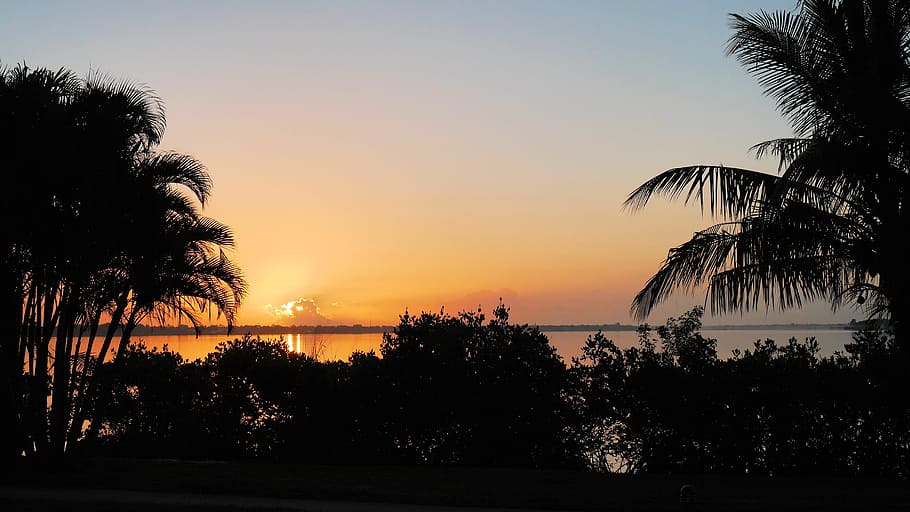 sunset, nature, landscape, ocean, sky, horizon, tree, palm tree HD wallpaper