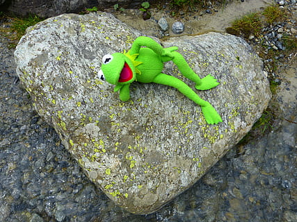 stone, heart, kermit, frog, love, nature, stone heart, one animal HD wallpaper