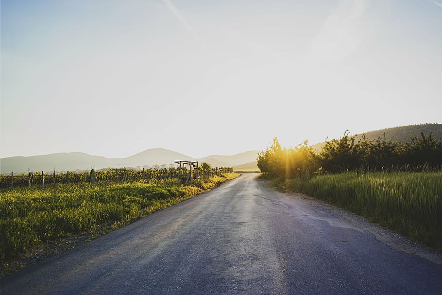 pavement between grass field, photography, road, sun, rise HD wallpaper