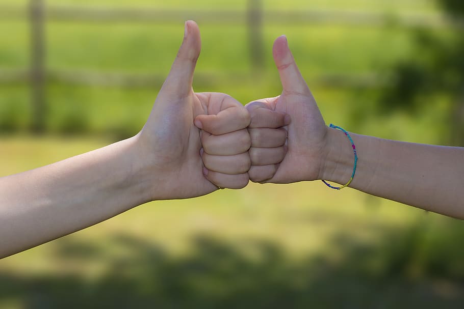 ok, agree, agreement, perfect, meeting, union, thumb, thumbs up, HD wallpaper