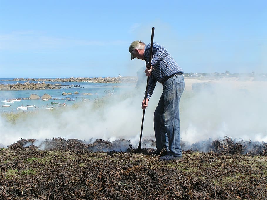 algae, burning, kerlouan, finistère, sea, men, one person HD wallpaper