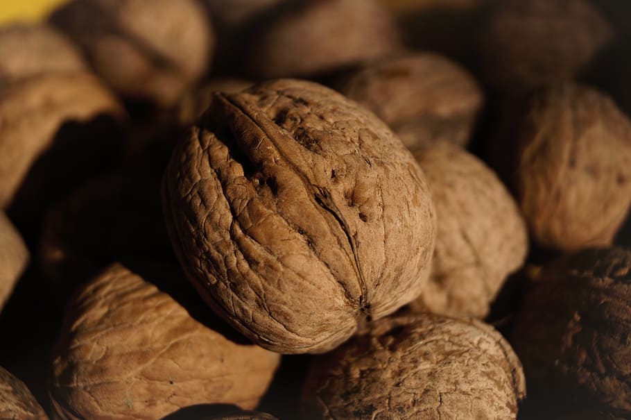 walnut, crop, brown, stone, autumn, healthy, food and drink HD wallpaper