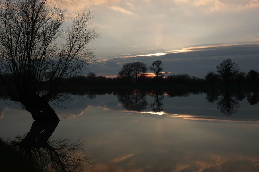 silhouette of bare tree near body of water, evening, sunset HD wallpaper