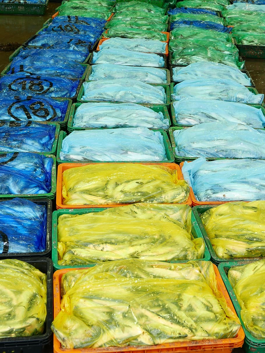 fish, plastic, packing, food and drink, high angle view, in a row HD wallpaper