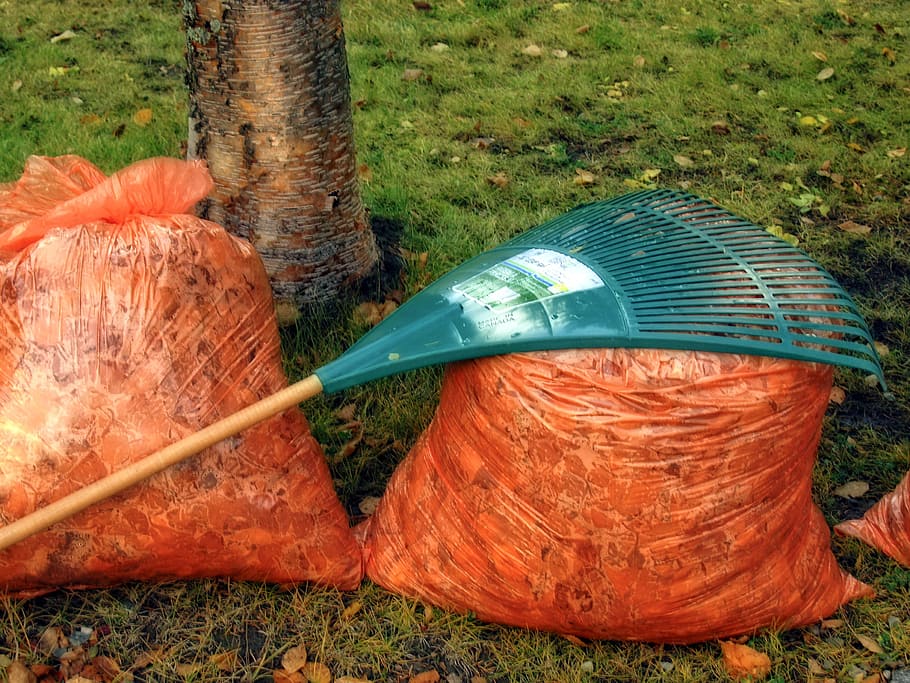 green steel rake on orange plastic bag filled with dried leaves HD wallpaper