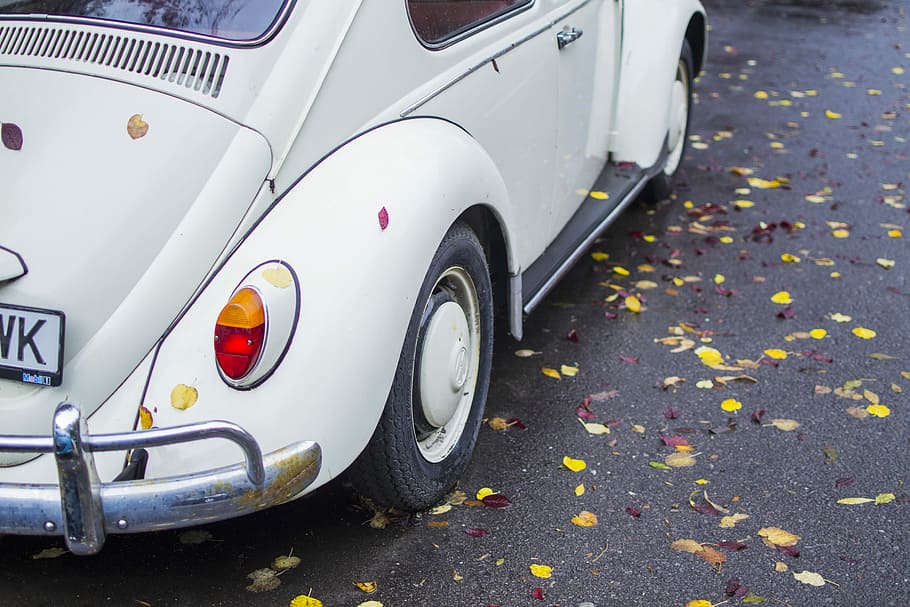 white Volkswagen Beetle, white Volkswagen Beetle coupe parked on concrete surface