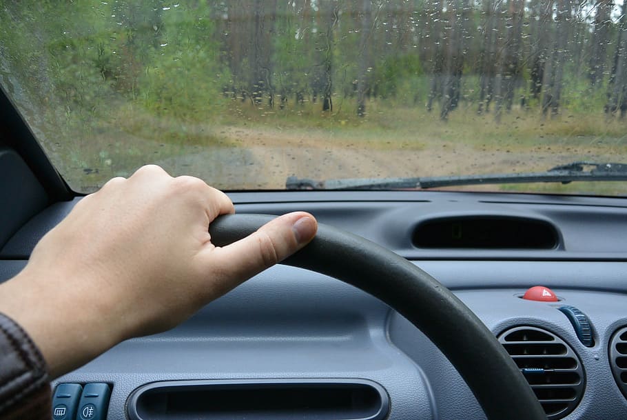 steering wheel, forest, road, path, car, motor, machine, auto HD wallpaper