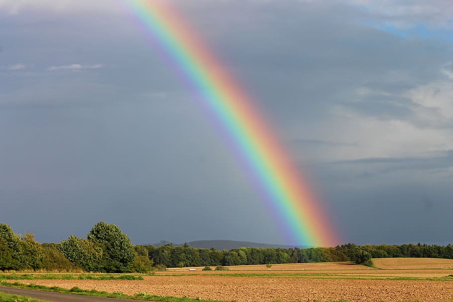 green leafed trees and rainbow during day time, sky, fields HD wallpaper