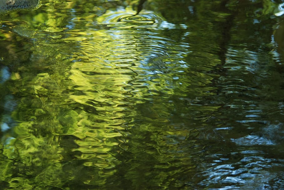 Water, Reflection, Green, Blue, Abstract, beauty, outdoor, calm HD wallpaper