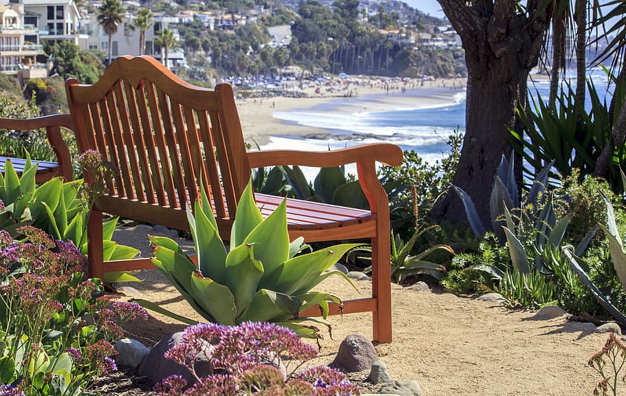 bench, relax, sunny, beach, park, outdoors, leisure, nature HD wallpaper