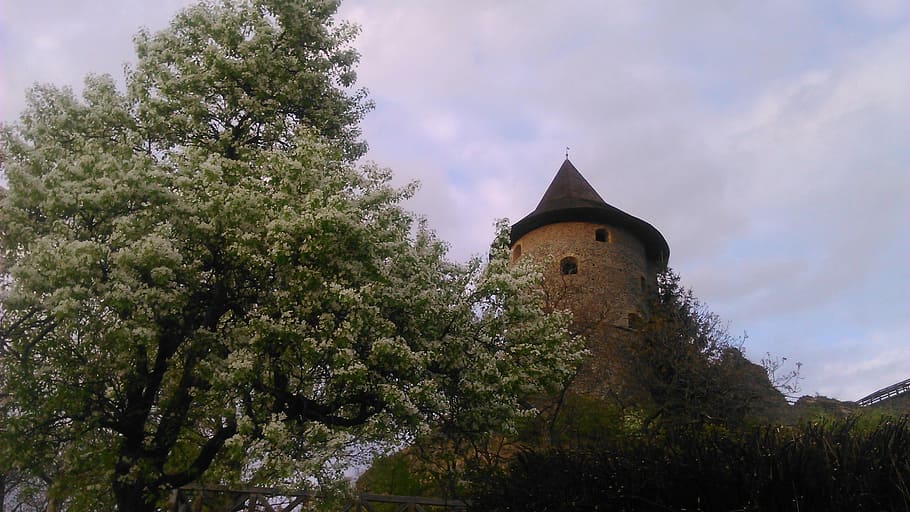 Castle, Pear Tree, Bloom, no people, cloud - sky, architecture HD wallpaper