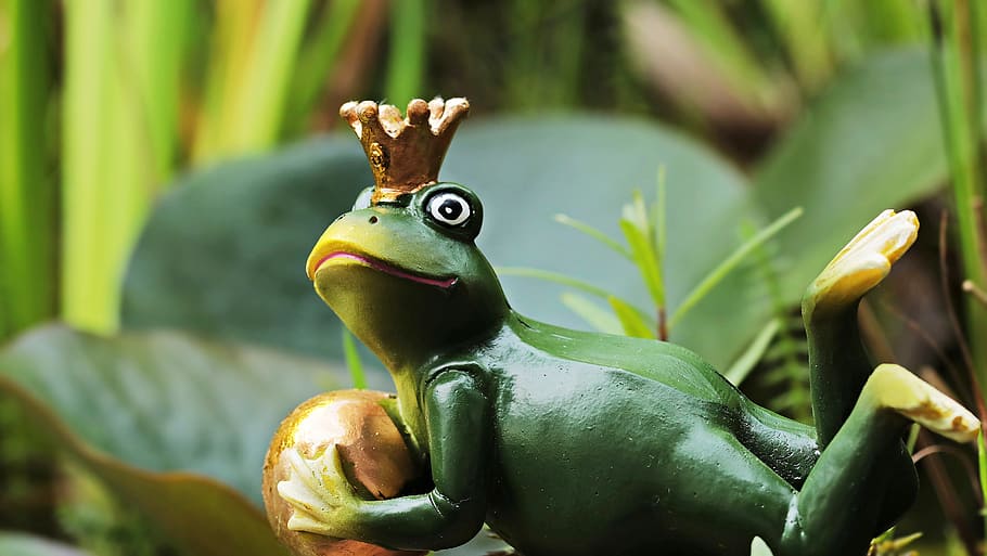 close photo of green frog prince ceramic figurine, frog figure, HD wallpaper