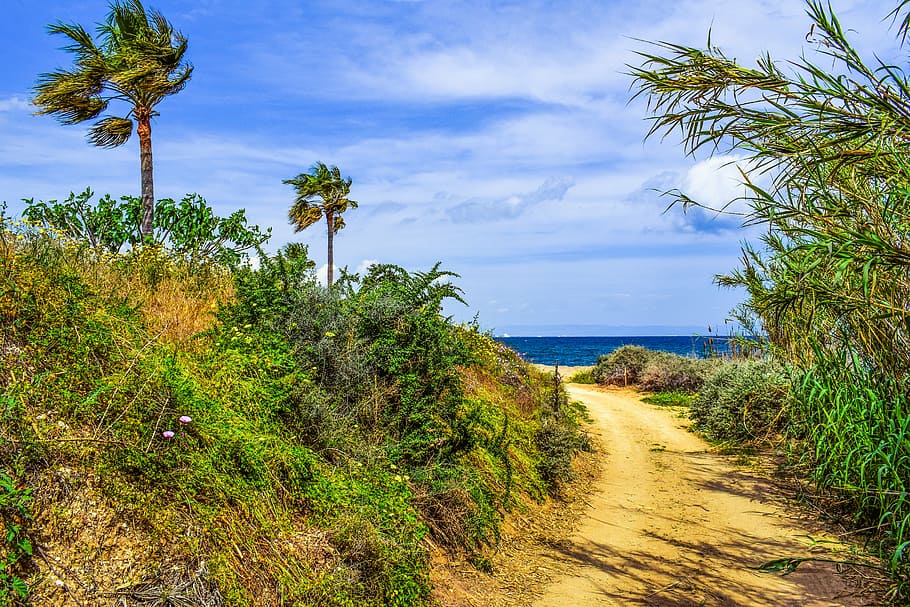 coastal path, landscape, scenery, trail, countryside, nature HD wallpaper