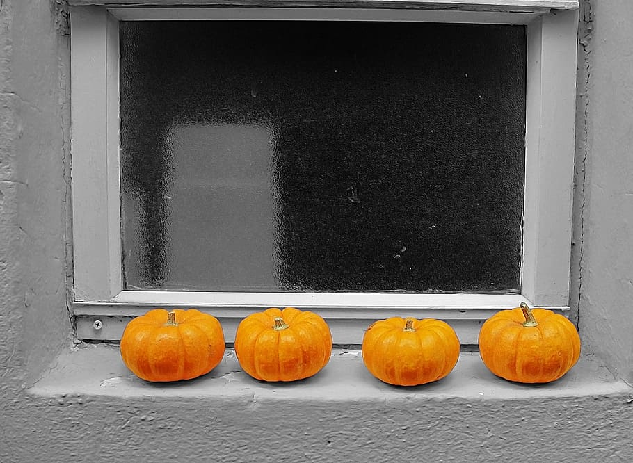 pumpkins, trim, window, food, food and drink, orange color HD wallpaper