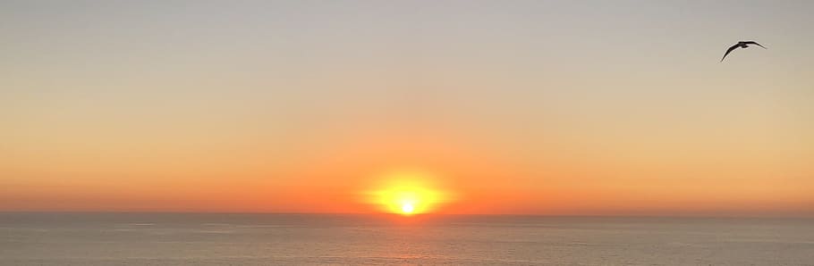 sunset, water, dawn, dusk, evening, sea, sky, orange color HD wallpaper